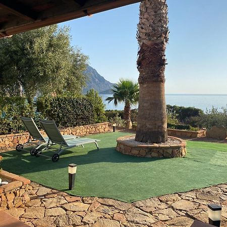 Il Bacio Del Sole Apartment แตร์เตนิอา ภายนอก รูปภาพ