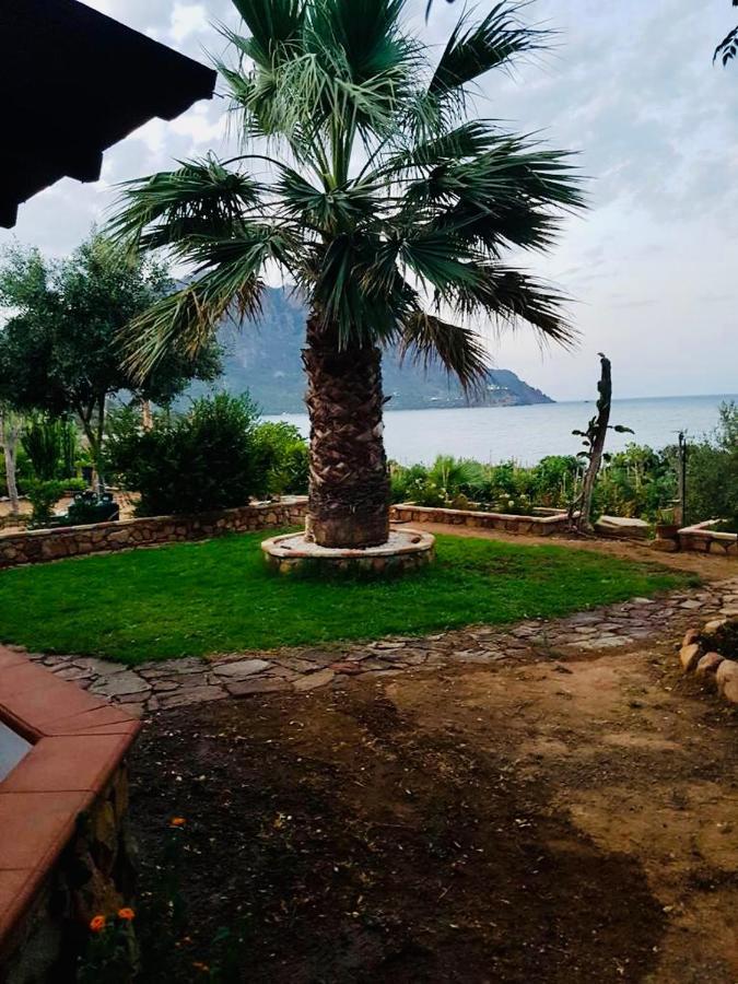 Il Bacio Del Sole Apartment แตร์เตนิอา ภายนอก รูปภาพ
