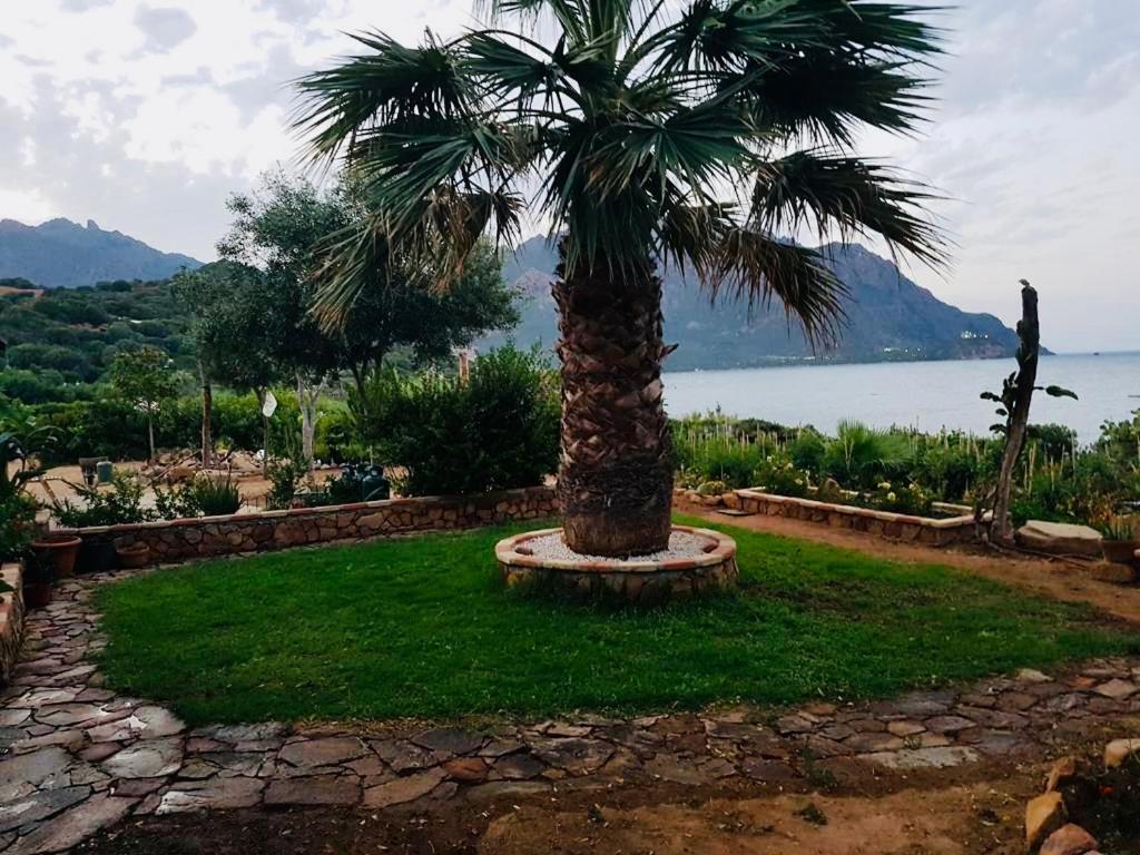 Il Bacio Del Sole Apartment แตร์เตนิอา ภายนอก รูปภาพ