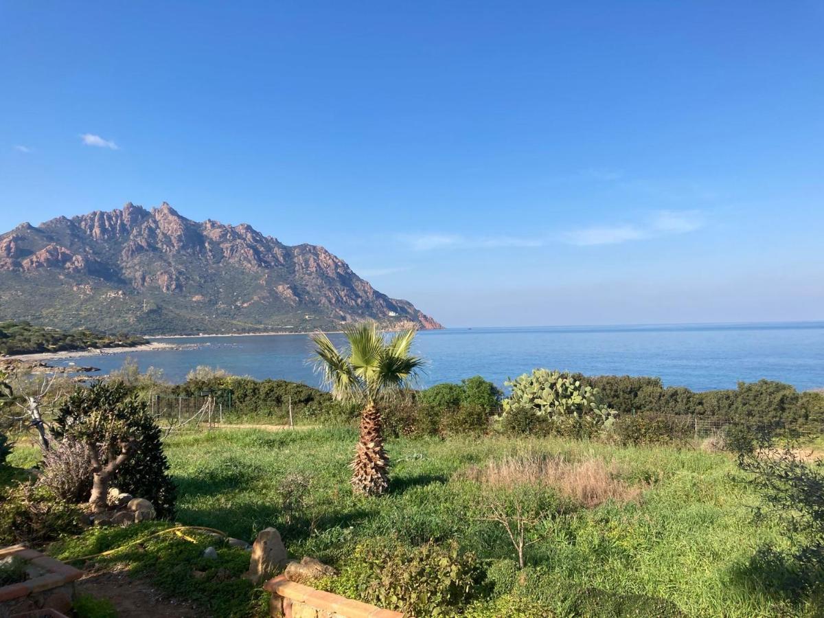 Il Bacio Del Sole Apartment แตร์เตนิอา ภายนอก รูปภาพ
